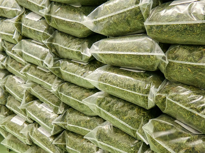 cannabis sack