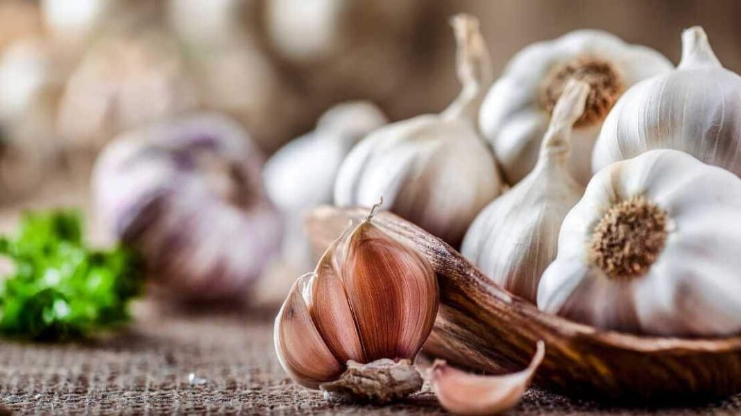 Σκόρδο: Αρκούν δύο λεπτά στο τηγάνι για να καταστραφούν όλα τα διατροφικά του οφέλη - Ο απλός τρόπος για να τα διατηρήσετε - Cibum.gr