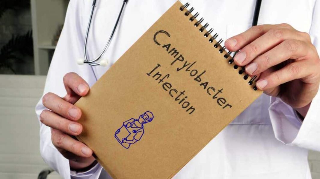 Επιστήμη: Βρέθηκε γονίδιο σε πουλερικά που ενισχύει την άμυνα στο Campylobacter - Cibum.gr