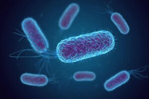 Επιδημία E. coli O157:H7 στις ΗΠΑ από άγνωστη πηγή - Cibum.gr