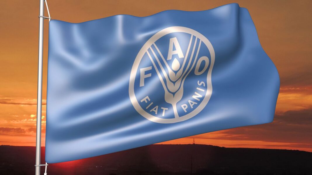 FAO: Νέο έγγραφο σχετικά με τις ρυθμιστικές στρατηγικές για την καταπολέμηση της Food Fraud - Cibum.gr