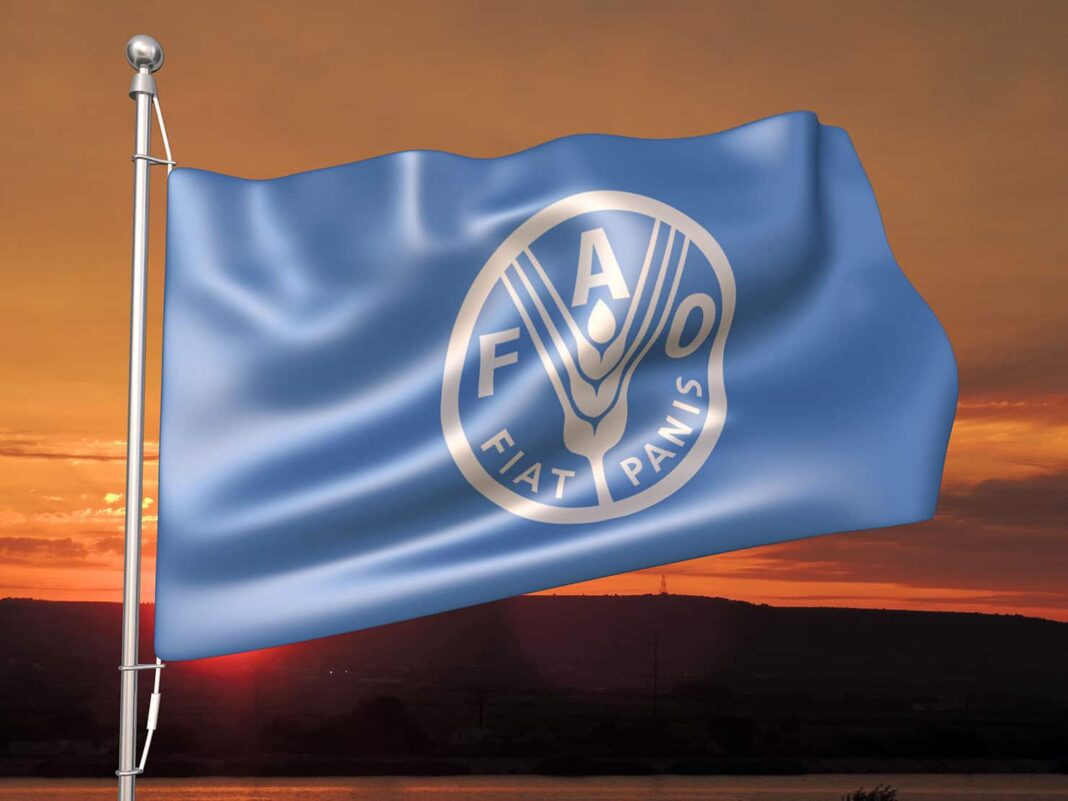 FAO και ΠΟΥ αναθεωρούν τις κατευθυντήριες γραμμές για τη Listeria monocytogenes - Cibum.gr