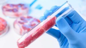 Μελέτη εξετάζει τις διαφορές μεταξύ συμβατικού και εναλλακτικού κρέατος