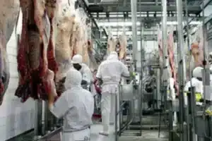 Συνδικάτο εργαζομένων κατηγορεί τον κολοσσό επεξεργασίας κρέατος JBS για εμπορία ανθρώπων!