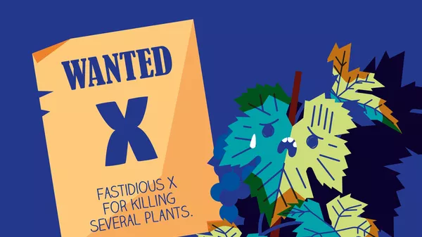 “Fussy X, spaventoso assassino” – L’EFSA distribuisce fumetti informativi sul parassita Xylella fastidiosa