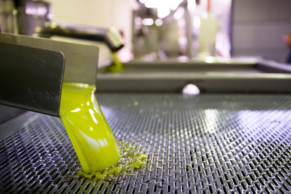 Produzione olio d’oliva: Macchine innovative per produrre più olio d’oliva in meno tempo