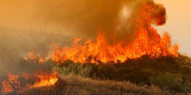 Πίστωση εικόνας: ecorodos.gr