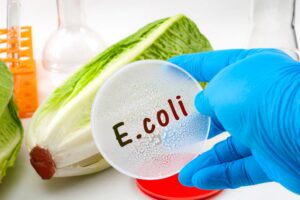 Πώς εισέρχεται το E. coli στα τρόφιμα;