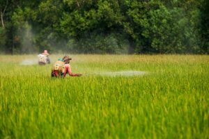 Νέα γνωμοδότηση της EFSA για το φυτοφάρμακο bifenazate: Δεν πληροί τα κριτήρια ενδοκρινικού διαταράκτη