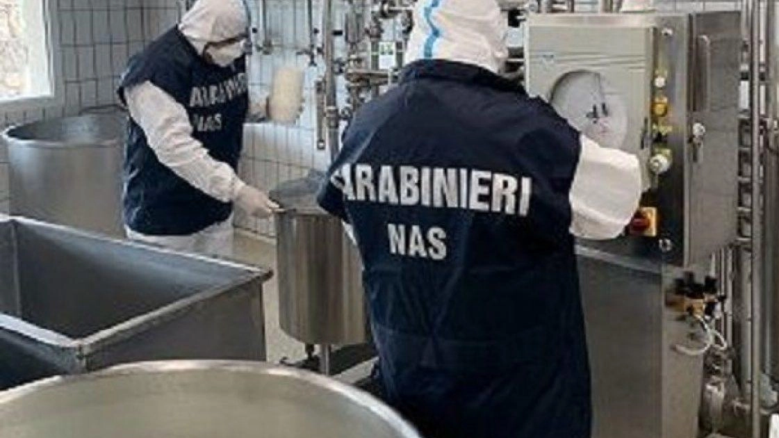 Sequestro di latticini “Mammoth” in Italia – adulterazione con soda caustica e acqua ossigenata