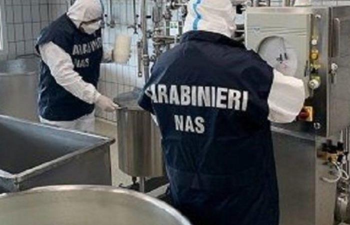 Un’importante azienda lattiero-casearia italiana chiude dopo uno scandalo per frode – Tutto è iniziato con le denunce degli ex dipendenti