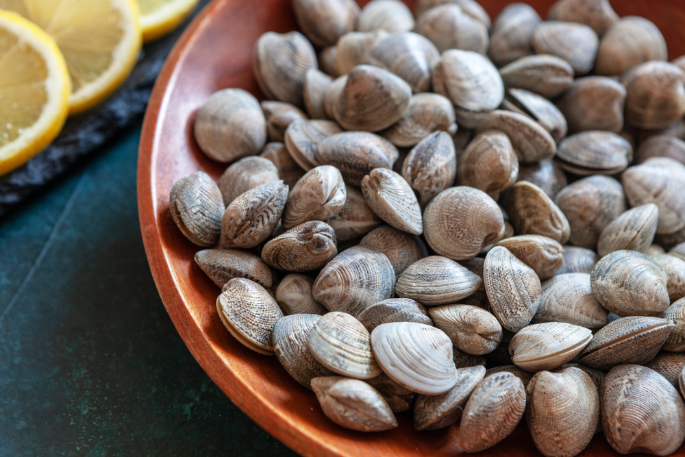 Batteri patogeni nei molluschi italiani (Havara)