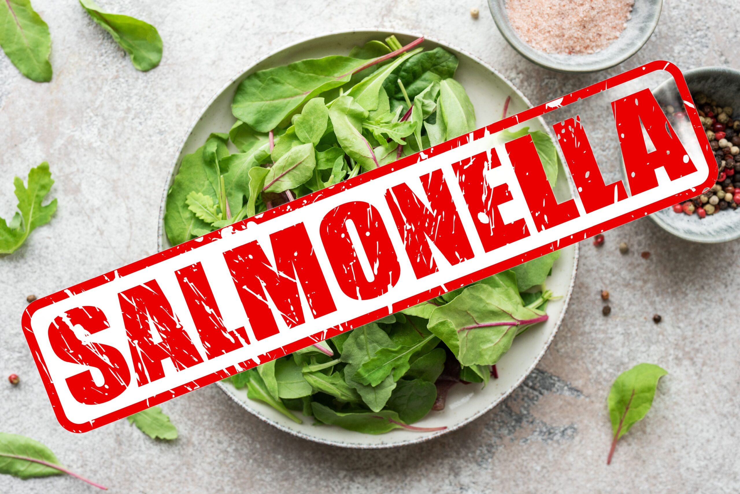 Dopo la rucola italiana, anche negli spinaci italiani si trova un raro tipo di salmonella