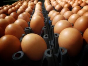 Τα φυτικά αυγά θέλουν… δεύτερη ευκαιρία: Τι δείχνει νέα έρευνα για τις διατροφικές επιλογές