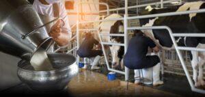Νέο επιδοτούμενο πρόγραμμα κατάρτισης ανέργων στη διαχείριση ζωονόσων  στην Περιφέρεια Θεσσαλίας