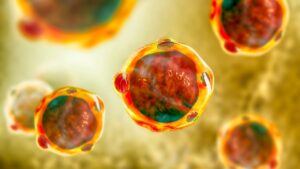 Ποιο τρόφιμο είναι το πιο μολυσμένο με Blastocystis – Ευρήματα ανασκόπησης