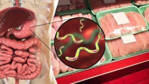 Το μόριο του εντέρου που μπλοκάρει το Campylobacter
