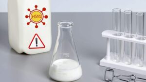 Γρίπη H5N1: Σε ποιο είδος γάλακτος ο ιός παραμένει ζωντανός για μέρες; Αποκαλυπτική μελέτη