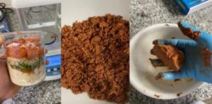 Ερευνητές αναπτύσσουν «vegan κρέας» με βάση το ηλιέλαιο