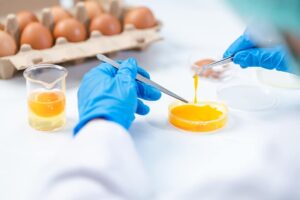 PFAS στα ελληνικά αυγά: «Ακροβατώντας» ανάμεσα σε επιστημονικά δεδομένα και κινδυνολογία