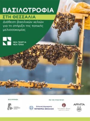 10.000 βασιλικά κελιά για τους μελισσοκόμους της Θεσσαλίας