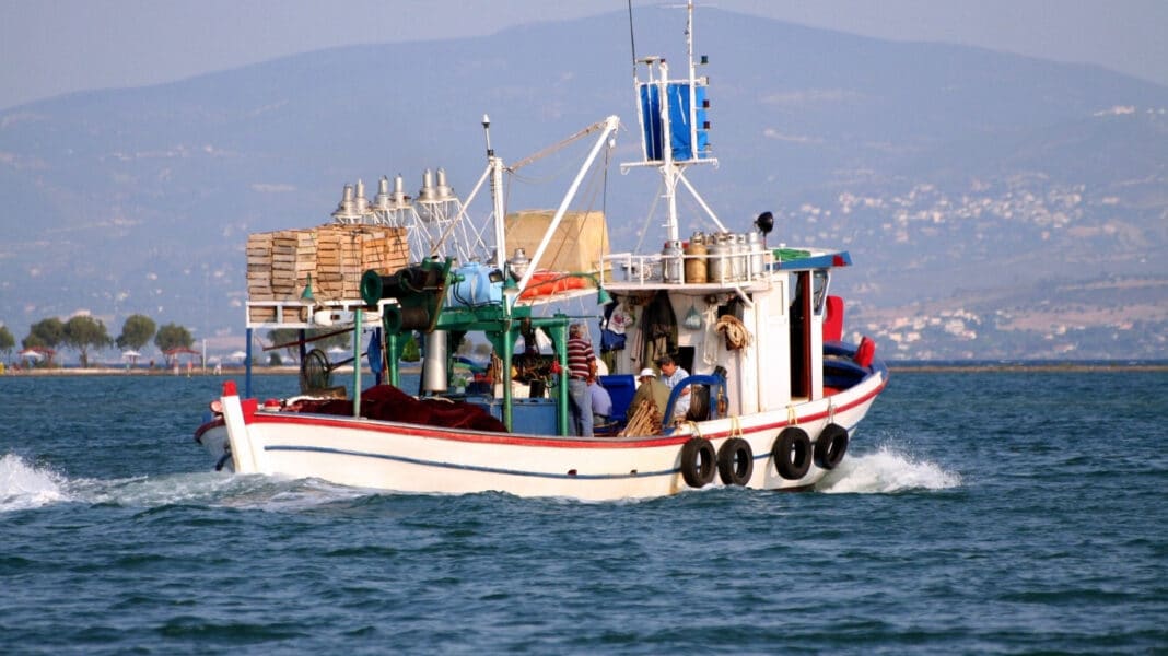Ελλάδα: Οι θάλασσες στο κόκκινο με το 58% των ψαριών ήδη υπεραλιευμένο - Δραματικά στοιχεία του WWF Ελλάς