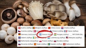 Στην Ελλάδα συσκευασμένα μανιτάρια μολυσμένα με βακτήριο που έχει τη μεγαλύτερη θνησιμότητα ανά περιστατικό - Ενημέρωση από RASFF