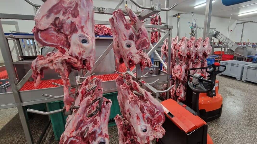Ανακαλούνται όλα τα κρέατα μεγάλης εταιρείας από 200 πελάτες της - Συλλήψεις, πτώχευση και απολύσεις μετά την αποκάλυψη απάτης με ακατάλληλα προϊόντα