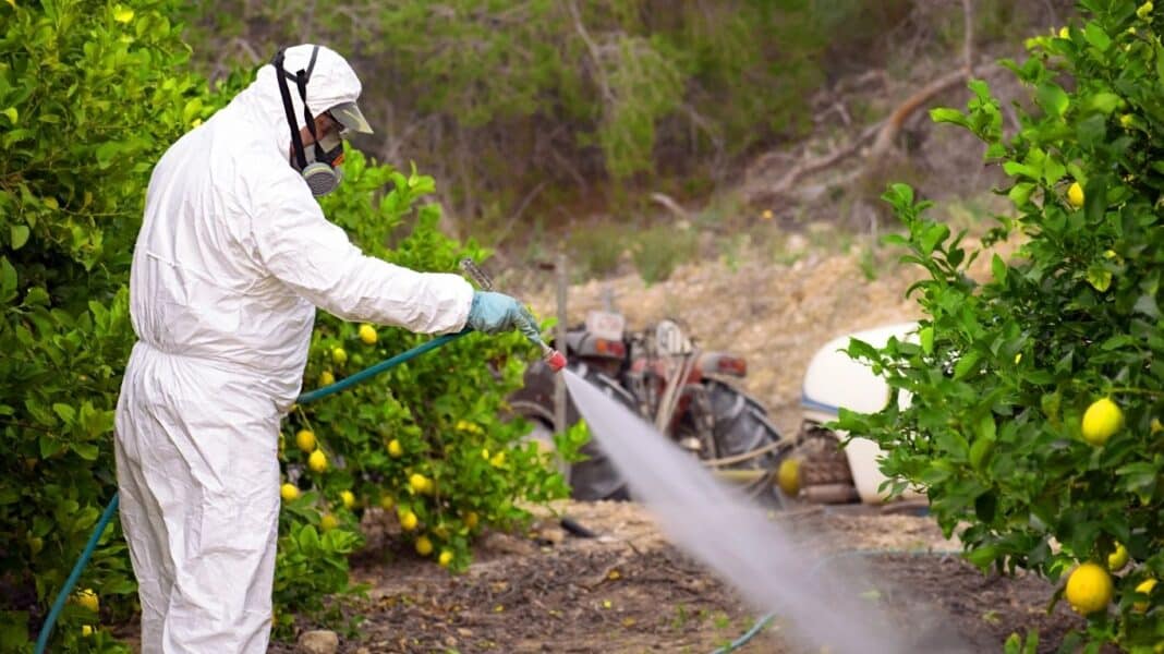Τα φυτοφάρμακα που θανατώνουν μαζικά τις μέλισσες ύποπτα και για καρκινογένεση, νευρολογικές και ορμονικές διαταραχές στον άνθρωπο