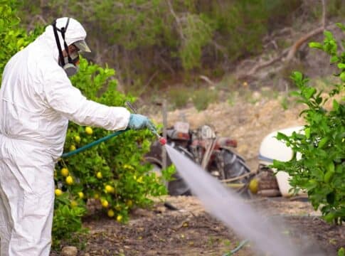 Φυτοφάρμακα: Νέα ευρωπαϊκή αξιολόγηση εξετάζει τη υδρογονοφωσφονική χολίνη για αμπέλια και χλοοτάπητες