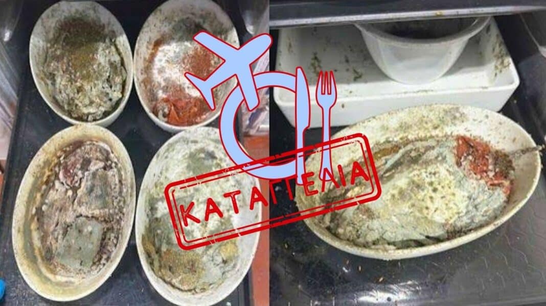 Σκουλήκια, μούχλα και κατσαρίδες σε εγκαταστάσεις catering Διεθνούς Αεροδρομίου - Καταγγελία εργαζομένων με συγκλονιστικό βίντεο
