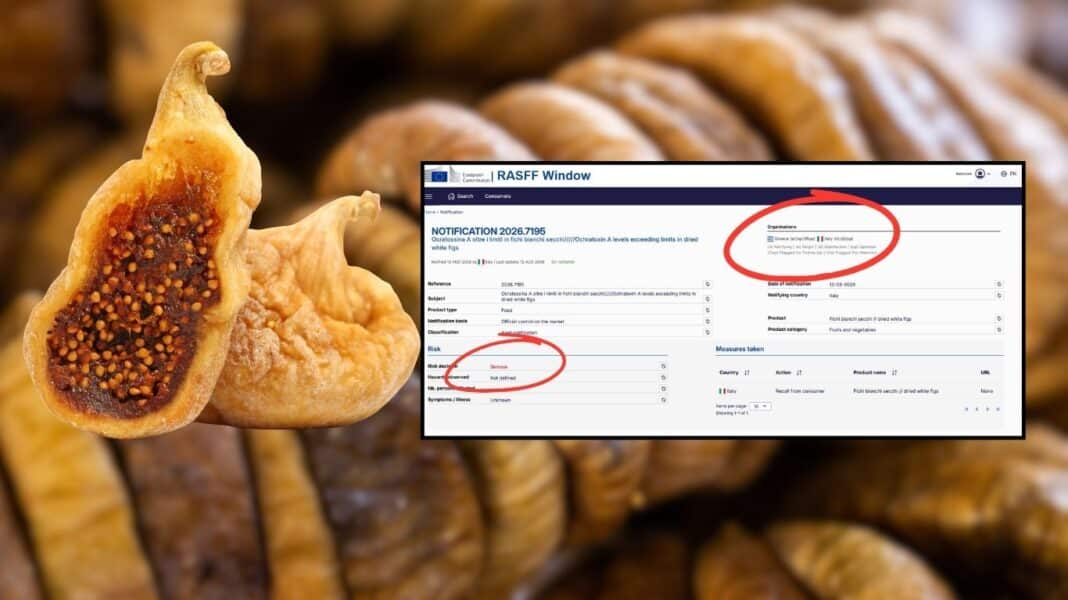Ελληνικά αποξηραμένα σύκα περιέχουν τοξίνες που μπορούν να προκαλέσουν καρκίνο στα νεφρά – Ειδοποίηση σοβαρού κινδύνου RASFF