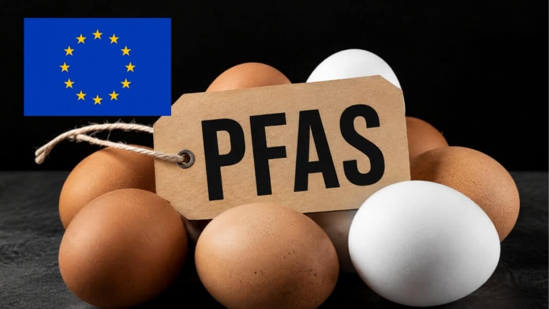 Χημικές ουσίες στα αυγά: Νέα ευρωπαϊκή μελέτη αποκαλύπτει ποιοι εκτίθενται περισσότερο - Τι ισχύει για την Ελλάδα