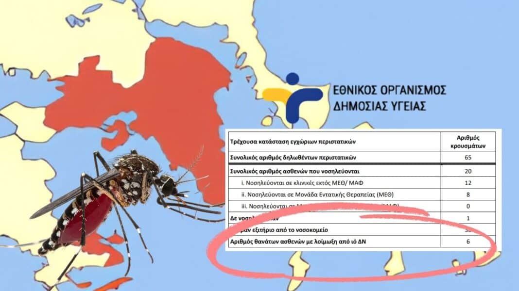 Κόκκινος συναγερμός για τον Ιό του Δυτικού Νείλου: 23 νέα κρούσματα σε μία εβδομάδα και 6 νεκροί – Οι περιοχές της Αττικής με τα περισσότερα περιστατικά