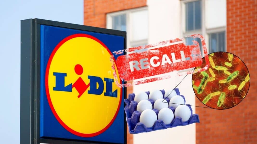 Lidl Fi: Ανάκληση αυγών λόγω κινδύνου σαλμονέλας - Εντοπίστηκε το βακτήριο σε συμβεβλημένο παραγωγό