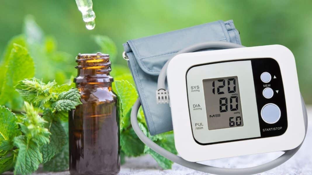 Μείωση της αρτηριακής πίεσης με λάδι μέντας - Ενθαρρυντικά τα προκαταρκτικά ευρήματα νέας έρευνας