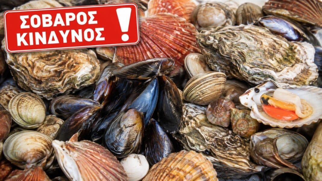 Ελλάδα: Κίνδυνος ναυτίας, μουδιάσματος και παράλυσης από οστρακοειδή με τοξίνες στη Θεσσαλονίκη – Έκλεισαν δύο ζώνες