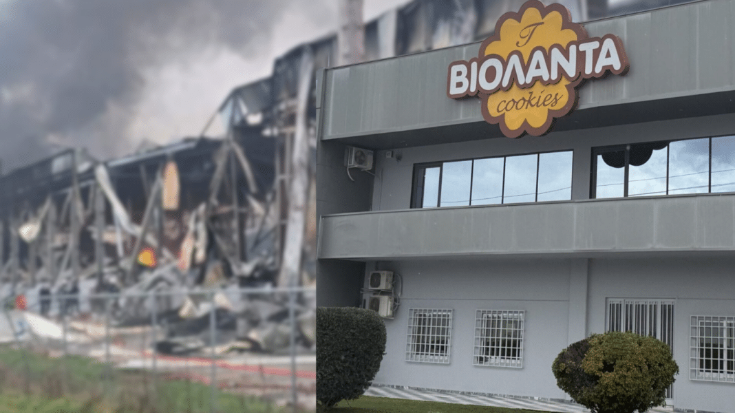 Βιολάντα: Η απάντηση της εταιρείας στις καταγγελίες για απολύσεις εργαζομένων που κατέθεσαν για την οσμή αερίου