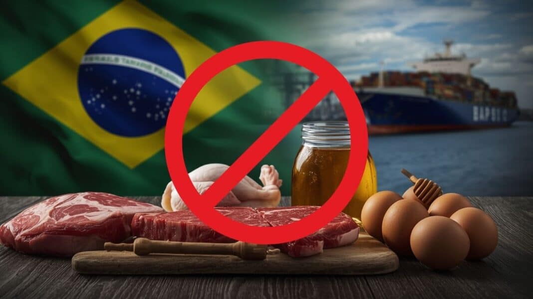 Τα αντιβιοτικά «σκότωσαν» τη Mercosur - Μπλόκο από σήμερα στην εισαγωγή κρέατος, ψαριού και μελιού από τη Βραζιλία στην ΕΕ