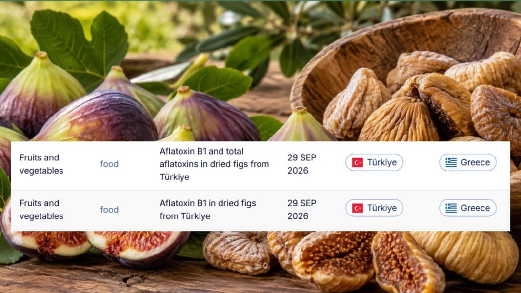 Εντοπίστηκαν πάλι στην Ελλάδα σύκα από την Τουρκία με καρκινογόνο αφλατοξίνη έως 227% πάνω από το όριο