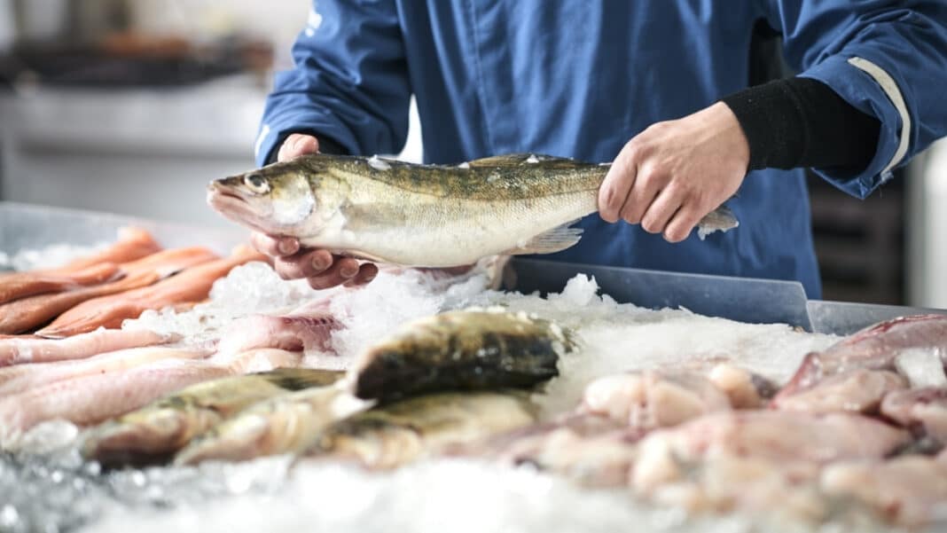 Επικίνδυνες χρωστικές σε ψάρια: Τι αποκαλύπτουν οι τελευταίοι ευρωπαϊκοί έλεγχοι