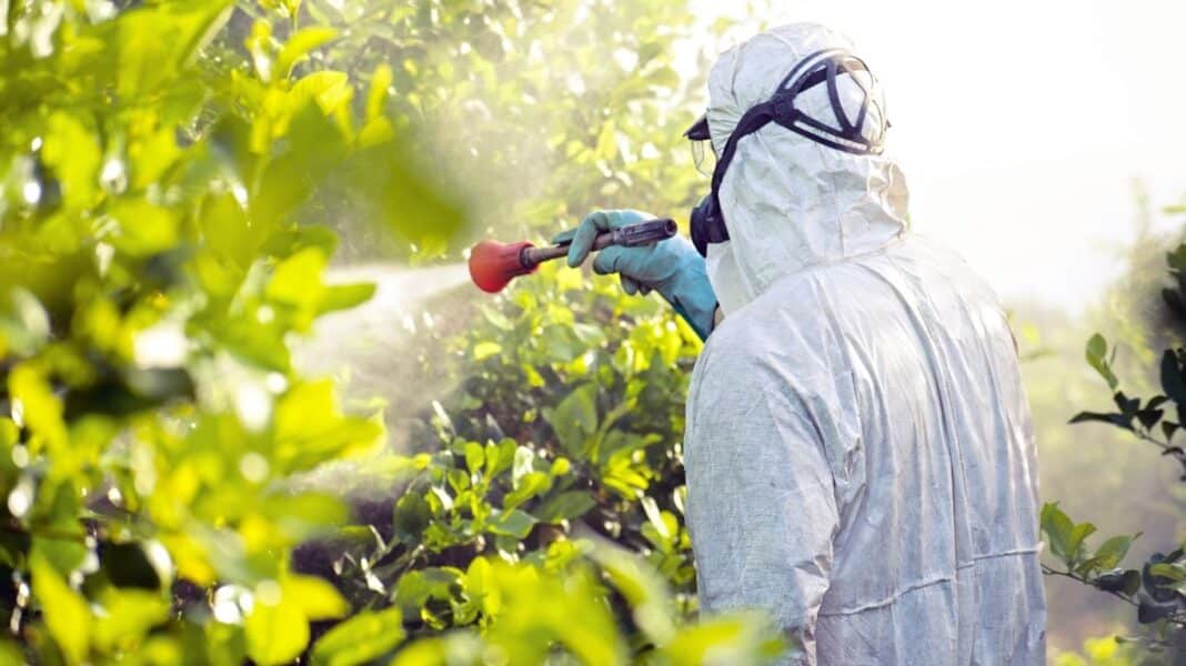 Ή θα δηλητηριαστούμε από φυτοφάρμακα ή θα ξεμείνουμε από τρόφιμα - Το δίλημμα που διχάζει την Ευρώπη και η απάντηση της PAN Europe