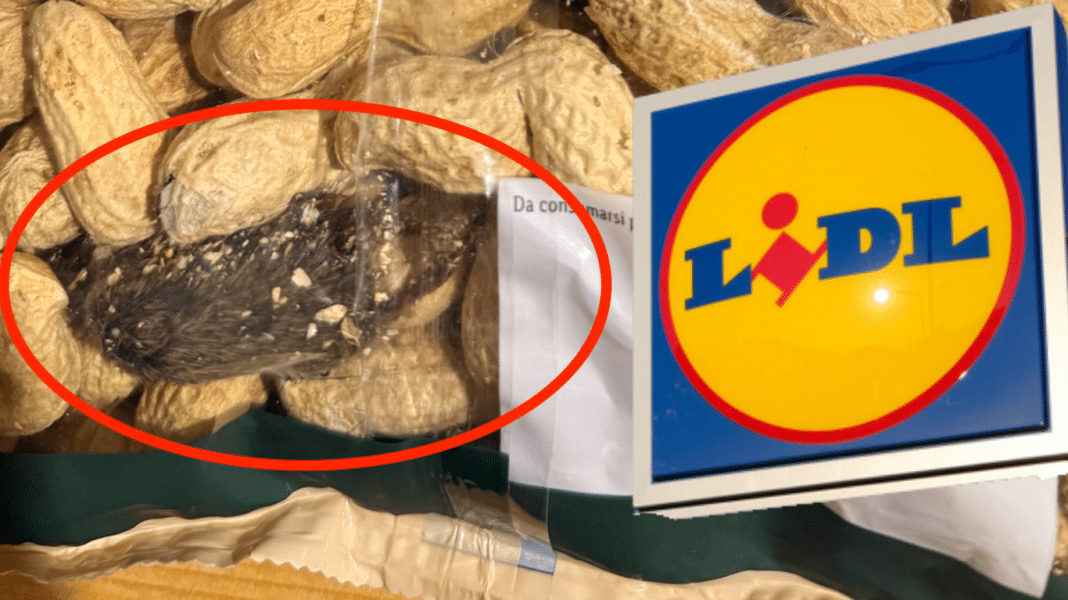 Lidl It: Ποντίκι σε σφραγισμένη συσκευασία με φιστίκια - Καταγγελία καταναλώτριας (φωτογραφία)