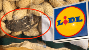 Lidl It: Ποντίκι σε σφραγισμένη συσκευασία με φιστίκια - Καταγγελία καταναλώτριας (φωτογραφία)
