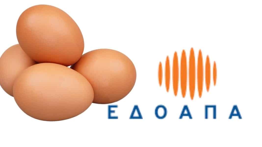 Νέα διοίκηση στη Διεπαγγελματική Οργάνωση Αυγού – Πρόεδρος ο Ιωάννης Βλαχάκης