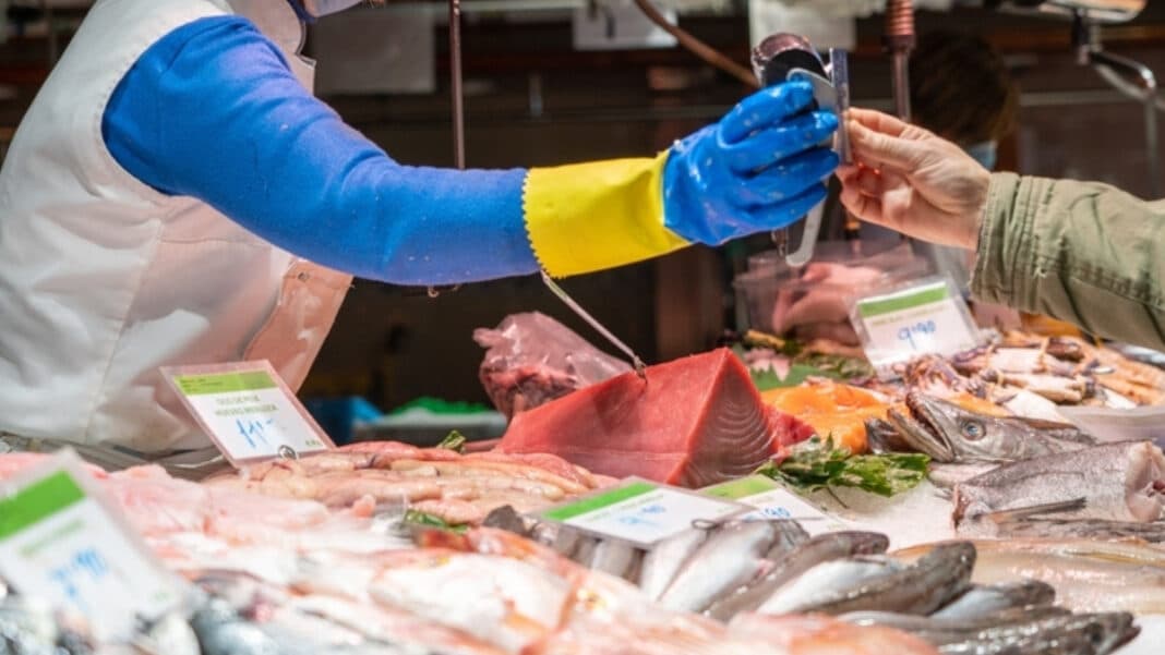 Τι ψάρια φτάνουν στο πιάτο μας; Σοβαρά κενά στους ελέγχους και διπλάσιο ποσοστό προβληματικών δειγμάτων στην ΕΕ