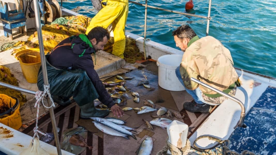 Διπλασιάζεται η επιδότηση αλιευτικού πετρελαίου για το διάστημα  Απριλίου – Αυγούστου, έως 32 λεπτά το λίτρο