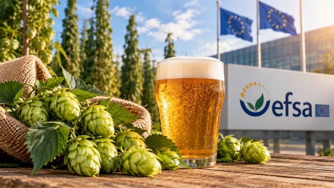 «Πόρτα» της EFSA σε νέο όριο για το dimethomorph στον λυκίσκο των ΗΠΑ