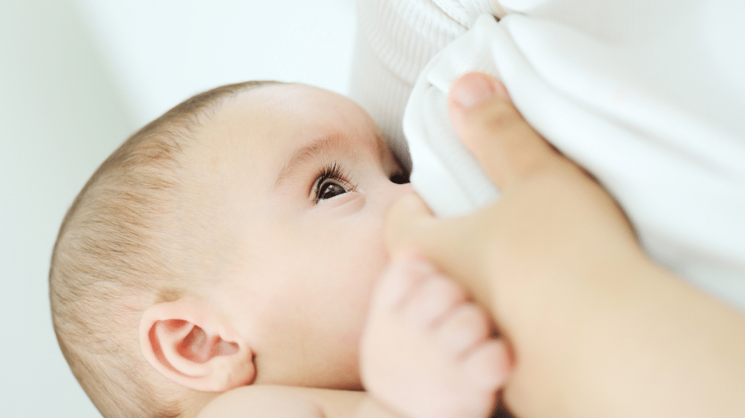 PFAS και διοξίνες στα τρόφιμα: Επηρεάζουν τη γονιμότητα των ανδρών από τη μήτρα και τον θηλασμό; Τι αποκαλύπτει νέα 20ετής μελέτη