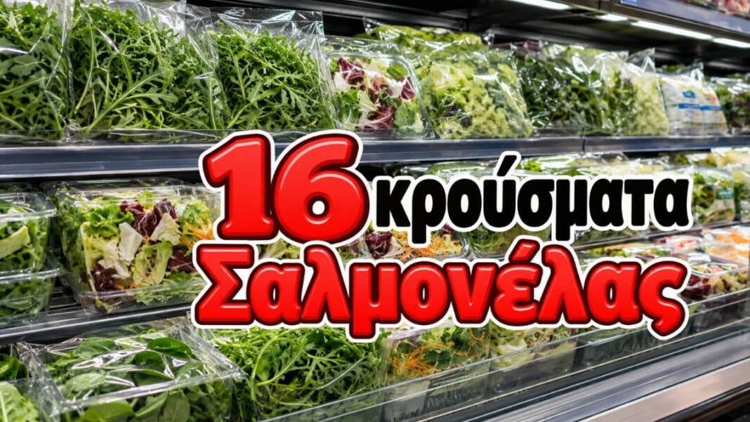 Αποκλειστικό: Πώς μια άδεια συσκευασία σαλάτας «ξεκλείδωσε» την έρευνα για επιδημία Salmonella - Η άμεση απάντηση των αρχών στο cibum